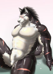 Rule 34 | 1boy, animal ears, arm support, bodysuit, bulge, costume, cum, erection, erection under clothes, facial, furry, furry male, gradient background, latex, male focus, manya (pixiv197286), mask, muscular, nipples, penis, red eyes, scar, sitting, skin tight, solo, wolf