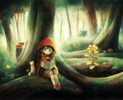 Rule 34 | 1girl, :o, aikei ake, animal, black hair, blush, book, boots, braid, brown shorts, cape, cat, commentary request, day, flower, forest, green eyes, holding, holding book, hood, hood up, hooded cape, little red riding hood, little red riding hood (grimm), low twintails, mushroom, nature, open book, original, outdoors, parted lips, puffy shorts, red cape, red footwear, short shorts, shorts, sitting, solo, tree, twin braids, twintails, yellow flower