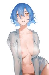 Rule 34 | 1girl, absurdres, blue hair, breasts, collarbone, commentary, facial scar, hair between eyes, highres, looking at viewer, lucadark art, medium breasts, midriff, naked shirt, navel, open clothes, open mouth, open shirt, orange hair, original, scar, scar on cheek, scar on face, scar on stomach, shirt, short hair, simple background, solo, teeth, white background, white shirt
