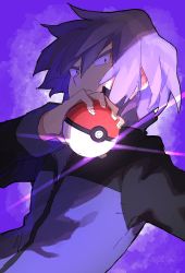 Rule 34 | 1boy, black eyes, bright pupils, closed mouth, commentary request, creatures (company), frown, game freak, hair between eyes, hand up, highres, holding, holding poke ball, ichihara yuuto, jacket, looking at viewer, male focus, nintendo, paul (pokemon), poke ball, poke ball (basic), pokemon, pokemon (anime), pokemon dppt (anime), purple hair, purple jacket, short hair, solo, upper body, white pupils