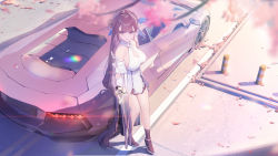 Rule 34 | 1girl, absurdres, bare shoulders, black footwear, blue eyes, breasts, brown hair, car, chinese commentary, commentary request, dress, gao guangyue, halter dress, halterneck, high heels, highres, honkai (series), honkai impact 3rd, lamborghini, lamborghini aventador, large breasts, leaf, leaning on object, li sushang, long hair, motor vehicle, outdoors, parted lips, shadow, shoes, short dress, sleeveless, sleeveless dress, solo, sports car, standing, vehicle focus, very long hair, white dress