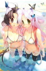 Rule 34 | 2girls, :o, animal ears, bikini, black eyes, black hair, black legwear, breasts, bug, butterfly, cat ears, cat tail, cleavage, from above, green eyes, hanpen, insect, long hair, medium breasts, multiple girls, original, pink hair, puus, shoes, sneakers, striped bikini, striped clothes, swimsuit, tail, thighhighs, vertical-striped bikini, vertical-striped clothes, wading, water