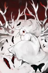 Rule 34 | 1girl, albino, animal ears, black butterfly, blood, blood stain, bug, butterfly, butterfly wings, dress, highres, insect, insect wings, long hair, long sleeves, looking at viewer, lying, on side, original, rabbit, rabbit ears, red eyes, shirokujira, snow, tree, white dress, white fur, white hair, wings