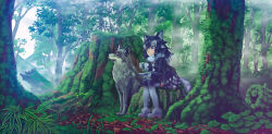 Rule 34 | 10s, 1girl, absurdres, animal ears, black hair, black skirt, black thighhighs, blue eyes, blush, closed mouth, forest, grey wolf, grey wolf (kemono friends), heterochromia, highres, kemono friends, long hair, nature, outdoors, plaid, plaid skirt, sketch, skirt, tail, thighhighs, wasabichan, white hair, wolf ears, wolf tail, yellow eyes