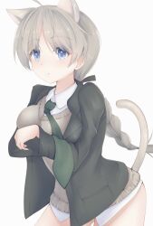 Rule 34 | 1girl, absurdres, animal ears, blazer, blonde hair, blue eyes, braid, breasts, cat ears, cat tail, eyebrows, green necktie, highres, jacket, large breasts, long hair, looking at viewer, nachisan ninja, necktie, no pants, shirt, strike witches, sweater, tail, untucked shirt, world witches series