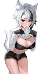 Rule 34 | 1girl, absurdres, animal ear fluff, animal ears, arlecchino (genshin impact), black bra, black eyes, black hair, black hands, black shorts, bra, breasts, cat ears, cat girl, cat tail, cleavage, closed mouth, clothes lift, colored extremities, commentary, cowboy shot, genshin impact, hands up, highres, kamko, kemonomimi mode, large breasts, long sleeves, looking at viewer, mouth hold, multicolored hair, paw pose, red pupils, shirt, shirt lift, short hair, shorts, simple background, solo, symbol-only commentary, symbol-shaped pupils, tail, two-tone hair, underwear, white background, white hair, white shirt, x-shaped pupils