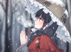 Rule 34 | 1girl, ajirogasa, black hair, blunt bangs, blurry, blurry background, blush, braid, breath, capelet, closed mouth, clothes writing, commentary, earlobes, frilled hat, frills, from side, hair over shoulder, hajin, hat, long hair, outdoors, own hands together, profile, red eyes, smile, snow, solo, tareme, touhou, tree, twin braids, upper body, winter, yatadera narumi