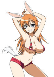 Rule 34 | 1girl, animal ears, armpits, bikini, bikini top only, breasts, charlotte e. yeager, cleavage, grin, large breasts, navel, onizuka takuto, open fly, rabbit ears, rabbit girl, rabbit tail, short shorts, shorts, sideboob, smile, solo, strike witches, swimsuit, tail, underboob, unzipped, world witches series