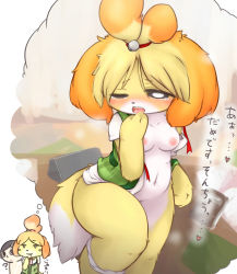Rule 34 | ?, animal crossing, blush, breasts, chipar, furry, highres, isabelle (animal crossing), navel, nintendo, nipples, tail, tears, text focus, translated, villager (animal crossing), wide hips, wince