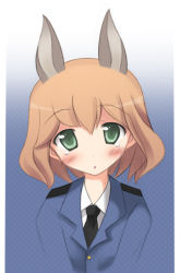 Rule 34 | 1girl, :o, amelie planchard, animal ears, blush, dress shirt, green eyes, iwa (alpaca oukoku), jacket, looking at viewer, military, military uniform, necktie, open mouth, orange hair, rabbit ears, rabbit girl, shirt, short hair, solo, strike witches, tears, uniform, upper body, world witches series