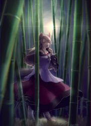 Rule 34 | 1girl, artist name, bamboo, bamboo forest, brown hair, forest, grass, highres, imaizumi kagerou, long hair, looking at viewer, moon, moonlight, nature, night, red eyes, shee take, signature, solo, touhou, werewolf