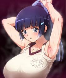 Rule 34 | 1girl, alternate hairstyle, aoki reika, armpits, arms up, blue eyes, blue hair, blue scrunchie, breasts, collarbone, gym uniform, highres, huge breasts, ponytail, precure, scrunchie, shirt, sleeves rolled up, smile precure!, solo, sweat, tedain, upper body, white shirt