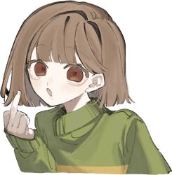 Rule 34 | 1other, blush, brown eyes, brown hair, chara (undertale), green sweater, i3dpi, long sleeves, looking at viewer, middle finger, open mouth, other focus, short hair, simple background, sleeves past wrists, solo, sweater, undertale, upper body, white background