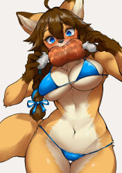 Rule 34 | 1girl, absurdres, ahoge, animal ears, bikini, blue bikini, blue eyes, blush, body fur, boned meat, borrowed character, bow, braid, breasts, cameltoe, eating, fang, food, fox ears, fox girl, fox tail, furry, furry female, hair between eyes, hair bow, highres, large breasts, looking at viewer, meat, navel, original, saliva, simple background, solo, suima (sleepiness18), swimsuit, tail, thigh gap, white background