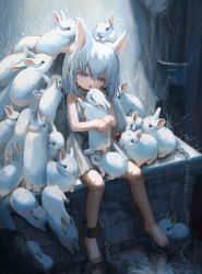 Rule 34 | 1girl, animal, animal ears, animal hug, bag, barefoot, cat ears, cat girl, chain, child, cold, collar, cuffs, doubutsunoujyou, dress, feet, grey eyes, highres, hug, looking at viewer, open mouth, original, outdoors, puddle, rabbit, rabbit girl, rain, short dress, short hair, sitting, sleeveless, sleeveless dress, tears, toes, too many, too many rabbits, water, wet, white dress, white hair