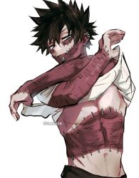 Rule 34 | 1boy, artist name, black hair, blue eyes, boku no hero academia, burn scar, cheek piercing, clothes lift, crossed arms, dabi (boku no hero academia), highres, lifting own clothes, looking at viewer, male focus, multiple scars, piercing, scar, scar on chest, scar on face, scar on neck, sharl0ck, shirt, shirt lift, simple background, solo, spiked hair, staple, stapled, stitches, symbol-only commentary, toned, toned male, white background, white shirt