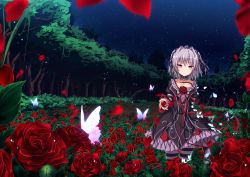 Rule 34 | 1girl, bug, butterfly, collarbone, flower, forest, gothic lolita, hairband, hapymaher, insect, lolita fashion, lolita hairband, looking at viewer, naitou maia, nature, night, night sky, pantyhose, petals, red eyes, rose, short hair, silver hair, sky, smile, solo, star (sky), starry sky, striped clothes, striped pantyhose, tree, ugume