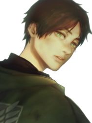Rule 34 | 1boy, artist name, brown hair, cape, cioccolatodorima, emblem, eren yeager, eyebrows, green eyes, lips, looking at viewer, looking back, male focus, parted lips, shingeki no kyojin, short hair, signature, simple background, solo, white background