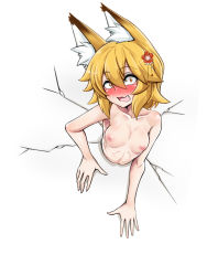 Rule 34 | 1girl, animal ears, bare arms, blonde hair, blush, breasts, collarbone, constricted pupils, fang, hair between eyes, hair ornament, highres, looking at viewer, matching hair/eyes, monster girl, nipples, nude, open mouth, senko (sewayaki kitsune no senko-san), sewayaki kitsune no senko-san, simple background, small breasts, solo, stuck, through wall, tongue, upper body, virusotaku, white background, yellow eyes