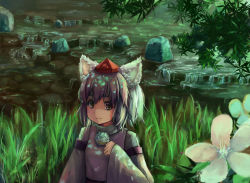 Rule 34 | 1girl, absurdres, animal ears, detached sleeves, hat, highres, hoshino arika, inubashiri momiji, looking at viewer, nature, pom pom (clothes), short hair, smile, solo, tokin hat, touhou, water, white hair, wolf ears, yellow eyes