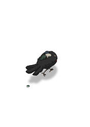 Rule 34 | absurdres, black feathers, carrying, creature, face down, feathers, gozz, highres, leaf, on animal, original, riding, shadow, walking, white background