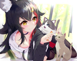 Rule 34 | 1girl, absurdres, animal, animal ear fluff, animal ears, barefoot, black collar, black hair, black pants, black sleeves, blue eyes, breasts, cat, closed mouth, collar, collarbone, crossed bangs, curled fingers, dot nose, feet, full body, green eyes, hair between eyes, highres, hihi (oekakihix), hololive, large breasts, light blush, long hair, long sleeves, looking at another, lying, multicolored hair, on stomach, ookami mio, ookami mio (casual), open mouth, pants, red hair, smile, soles, solo, streaked hair, tail, toes, tongue, tongue out, virtual youtuber, whiskers, wolf ears, wolf girl, yellow eyes