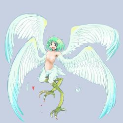 Rule 34 | 1girl, breasts, female focus, full body, green hair, harpy, monster girl, open mouth, original, seirei (mimi toka), short hair, small breasts, solo, wings