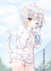 Rule 34 | 1girl, animal ears, breath, cat ears, cat tail, expressionless, grey hair, highres, jacket, moco ofuton, original, short hair, short shorts, shorts, sleeves past fingers, sleeves past wrists, sweat, tail, towel, track jacket, yellow eyes