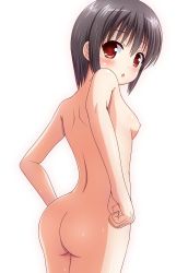 Rule 34 | 1girl, ass, back, bad anatomy, bad id, black hair, blush, breasts, female focus, flat chest, ki (kk-sk-ray), looking at viewer, looking back, nipples, nude, open mouth, original, red eyes, short hair, shy, simple background, small breasts, solo, sweat