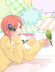 Rule 34 | 1girl, :d, absurdres, bird, bird on hand, blue eyes, blush, bright pupils, commentary, eyebrows hidden by hair, eyelashes, from side, go-toubun no hanayome, green bird, hair ornament, hairclip, hand on own cheek, hand on own face, hands up, highres, leaf hair ornament, lower teeth only, mojyu saico, multicolored background, nakano ichika, open mouth, parrot, parted bangs, pink hair, school uniform, short hair, sidelocks, simple background, sleeves past wrists, smile, solo, speech bubble, straight hair, sweater, swept bangs, teeth, upper body, yellow sweater