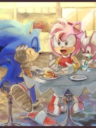 Rule 34 | 1boy, 1girl, amy rose, animal nose, bone (stare), chip, chip (sonic), conversation, couple, dating, drinking, food, furry, furry female, furry male, furry with furry, happy, hetero, letterboxed, outdoors, sitting, smile, sonic (series), sonic the hedgehog, sonic unleashed, tegaki