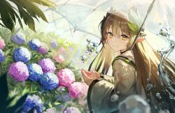 Rule 34 | 1girl, arknights, blush, brown hair, bush, closed mouth, flower, from side, greenhouse, greypidjun, highres, hydrangea, hydrokinesis, laurel crown, long hair, long sleeves, looking at viewer, looking to the side, mole, mole under eye, muelsyse (arknights), red umbrella, smile, solo, split mouth, umbrella, upper body, very long hair, water, wide sleeves, yellow eyes