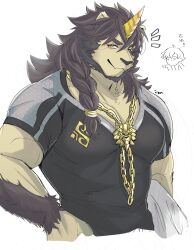 Rule 34 | 1boy, absurdres, animal ears, bara, black shirt, braid, commentary request, doodle inset, furry, furry male, furry with non-furry, gold necklace, highres, horns, interspecies, izm (izm rm7), jewelry, lion ears, lion mane, looking at viewer, male focus, mythological creature, necklace, pazuzu (housamo), pointing, pointing at another, shirt, signature, single horn, tokyo houkago summoners, white background