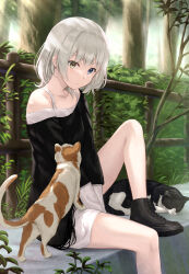 Rule 34 | 1girl, animal, ankle boots, bang dream!, bang dream! it&#039;s mygo!!!!!, bare shoulders, black footwear, black shirt, blue eyes, boots, bush, cat, closed mouth, clothing cutout, collarbone, commentary request, day, expressionless, fence, foot out of frame, forest, heterochromia, highres, kaname raana, knee up, layered sleeves, light blush, light particles, long shirt, long sleeves, looking ahead, looking down, medium hair, nature, nuenue, off-shoulder shirt, off shoulder, outdoors, shirt, shoe soles, shoulder cutout, sitting, solo, tree, undershirt, v arms, white hair, white shirt, wooden fence, yellow eyes