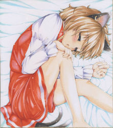 Rule 34 | 1girl, animal ears, brown hair, cat ears, cat girl, cat tail, chen, earrings, female focus, ging (tokushima), jewelry, lying, multiple tails, no headwear, no headwear, on side, shikishi, short hair, sleeping, solo, tail, touhou, traditional media