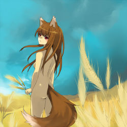 Rule 34 | 00s, animal ears, holo, loo, nude, solo, spice and wolf, tail, wolf ears, wolf tail