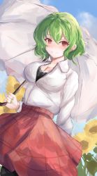 Rule 34 | 1girl, black bra, blue sky, bra, breasts, buttons, cleavage, closed mouth, cloud, collared shirt, field, flower, flower field, green hair, highres, holding, holding umbrella, kazami yuuka, large breasts, long sleeves, looking at viewer, orchid (orukido), outdoors, parasol, pleated skirt, red eyes, red skirt, shirt, short hair, skirt, sky, smile, sunflower, sunflower field, touhou, umbrella, underwear, white shirt, white umbrella