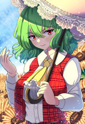 Rule 34 | 1girl, absurdres, ascot, blush, breasts, commentary request, day, dokushu yanagi5322, flower, frills, green hair, highres, holding, holding umbrella, kazami yuuka, large breasts, medium hair, outdoors, plaid, plaid skirt, plaid vest, red eyes, skirt, smile, solo, sparkle, sunflower, touhou, umbrella, upper body, vest, yellow flower