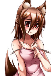 Rule 34 | 1girl, animal ears, bad id, bad pixiv id, bare shoulders, blush, breasts, brown hair, chestnut mouth, cleavage, clothes pull, dress pull, original, pako (moto paco), pulling own clothes, red eyes, simple background, solo, strap slip, sweat, tail, white background
