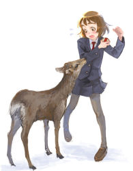 Rule 34 | deer, pantyhose, school uniform, serafuku, simple background, tagme, thighhighs, weno