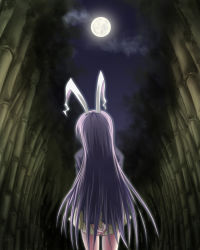 Rule 34 | 1girl, animal ears, arms behind back, baerun, bamboo, bamboo forest, blazer, rabbit ears, female focus, forest, full moon, jacket, long hair, moon, nature, purple hair, reisen udongein inaba, skirt, solo, touhou