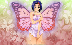 Rule 34 | 1girl, blue eyes, blue hair, blush, butterfly wings, female focus, flower, hair ornament, hairclip, highres, insect wings, lingerie, matching hair/eyes, negligee, sairenji haruna, short hair, solo, to love-ru, underwear, wallpaper, wings
