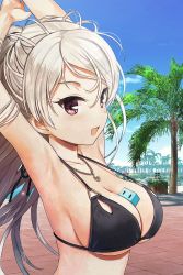 Rule 34 | armpits, arms up, bikini, black bikini, breasts, conte di cavour (kancolle), highres, jiji (creature), kantai collection, large breasts, long hair, outdoors, palm tree, purple eyes, swimsuit, tree, white hair, white ss yu