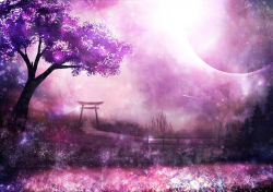 Rule 34 | akyuun, bare tree, blurry, bokeh, cherry blossoms, commentary, depth of field, eclipse, fence, flower, full moon, highres, landscape, lens flare, light particles, moon, original, path, road, scenery, sunlight, texture, torii, tree