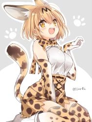 Rule 34 | 10s, 1girl, :d, animal ears, bare shoulders, between legs, blonde hair, blush, boots, bow, bowtie, breasts, cat ears, cat tail, elbow gloves, gloves, hair between eyes, hand between legs, kemono friends, looking at viewer, open mouth, paw pose, paw print, serval (kemono friends), serval print, serval tail, shijima (sjmr02), short hair, sitting, skirt, sleeveless, smile, solo, tail, teeth, thighhighs, twitter username, two-tone background, wariza, yellow eyes