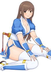 Rule 34 | 1girl, arm guards, blush, breasts, brown eyes, brown hair, cleavage, closed mouth, collarbone, commentary request, dead or alive, fingernails, highres, japanese clothes, kasumi (doa), lips, long hair, looking at viewer, medium breasts, ninja, pelvic curtain, puffy sleeves, shigenobu, shiny skin, short sleeves, simple background, sitting, smile, solo, sword, tecmo, thighhighs, thighs, weapon, weapon on back, white background, white thighhighs