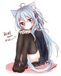 Rule 34 | 1girl, ahoge, animal ears, asashio (azur lane), asashio (the transfer student underneath the dancing petals) (azur lane), azur lane, black thighhighs, blue eyes, blue hair, blue jacket, blue ribbon, blush, braid, brown footwear, cat ears, cat tail, checkered clothes, checkered skirt, closed mouth, convenient censoring, flower, footwear bow, full body, grey skirt, hair flower, hair ornament, hair ribbon, hairclip, hands on own knees, head rest, jacket, knees up, legs together, loafers, long hair, looking at viewer, nor9re, pink flower, pleated skirt, ribbon, ribbon-trimmed clothes, ribbon-trimmed footwear, ribbon trim, shoes, side ponytail, simple background, sitting, skirt, solo, tail, tail censor, thighhighs, white background