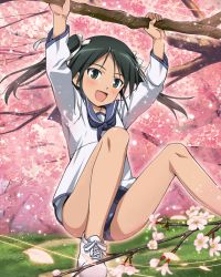 Rule 34 | 1girl, cosplay, francesca lucchini, kadokawa shoten, miyafuji yoshika, miyafuji yoshika (cosplay), official art, solo, strike witches, world witches series