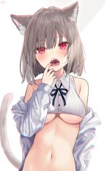 Rule 34 | 1girl, :o, absurdres, akino ell, animal ear fluff, animal ears, bare shoulders, breasts, cat ears, cat girl, cat tail, collared shirt, crop top, fangs, finger in own mouth, grey hair, highres, jacket, long sleeves, looking at viewer, medium breasts, midriff, navel, neck ribbon, off shoulder, open clothes, open jacket, open mouth, original, red eyes, ribbed shirt, ribbon, shirt, short hair, simple background, sleeveless, sleeveless shirt, solo, stomach, tail, underboob, upper body, white background, white jacket, white shirt