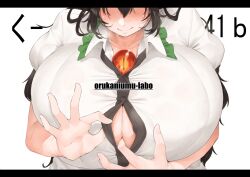 Rule 34 | 1girl, absurdres, black hair, blush, breasts, cleavage, closed mouth, collared shirt, commentary request, frilled shirt collar, frills, head out of frame, highres, huge breasts, letterboxed, long bangs, long hair, open clothes, open shirt, oruka (kamituki0827), paizuri invitation, puffy short sleeves, puffy sleeves, reiuji utsuho, shirt, short sleeves, simple background, smile, solo, third eye, touhou, upper body, white background, white shirt